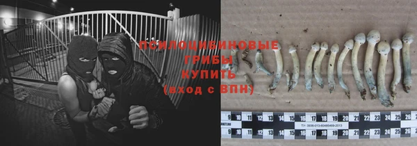 гидропоника Алексин