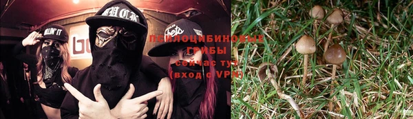 эйфоретик Алексеевка