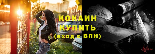 гашик Покровск